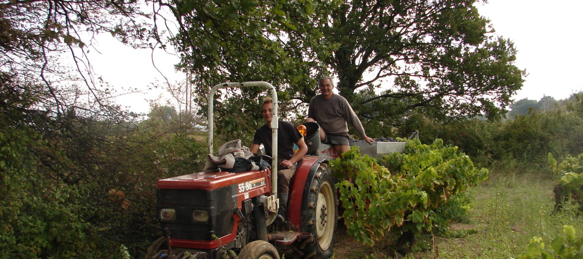 vendanges suze la rousse