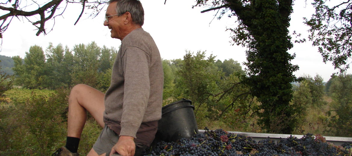 Ouverture des vendanges 2010 au Domaine du Jas