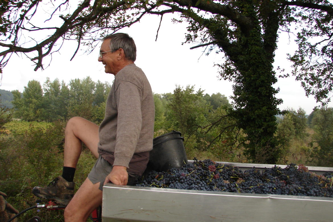 Ouverture des vendanges 2010 au Domaine du Jas