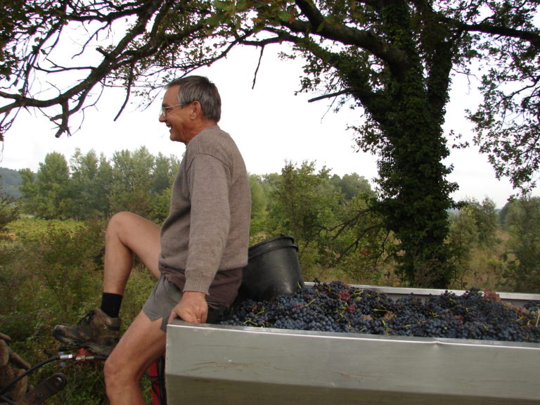 Ouverture des vendanges 2010 au Domaine du Jas