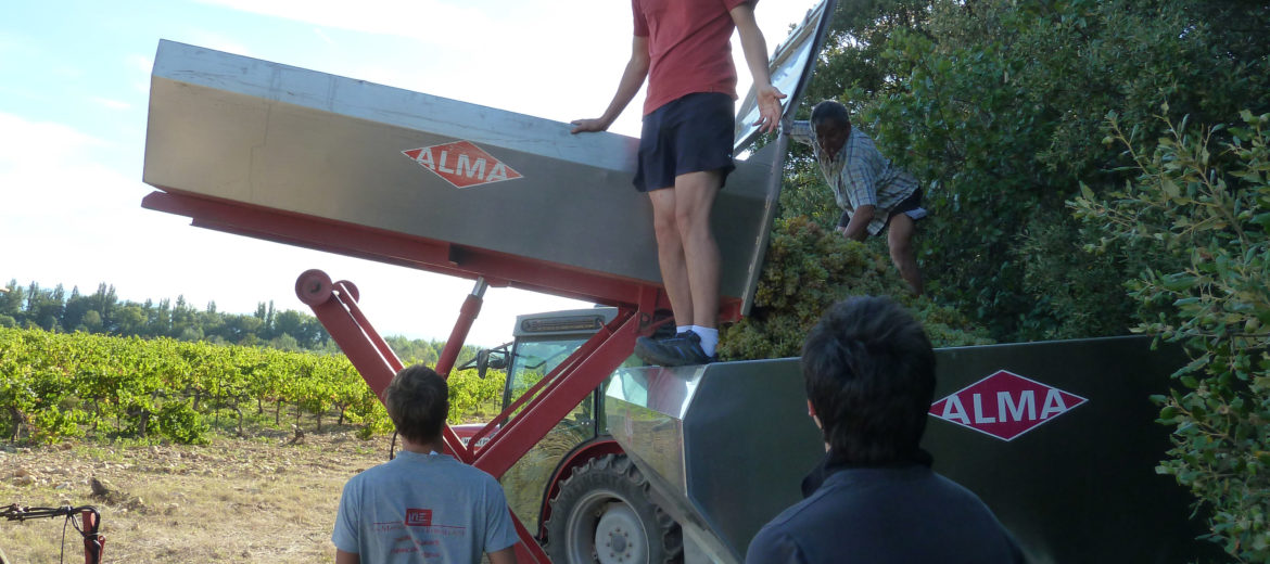 ouverture des vendanges suze la rousse