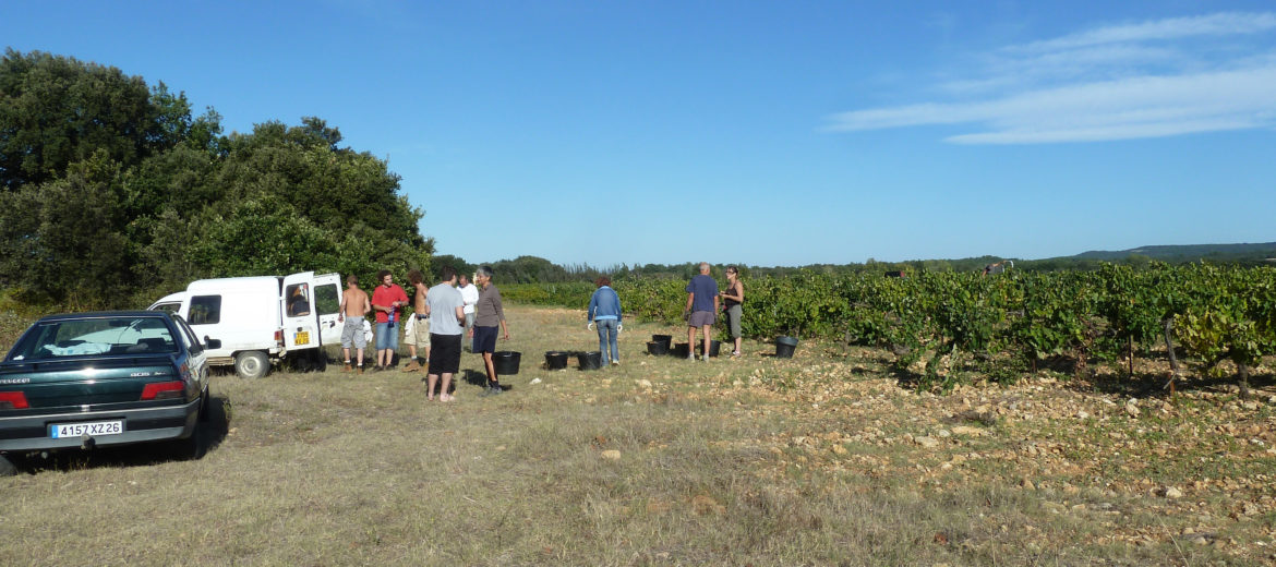 ouverture des vendanges suze la rousse